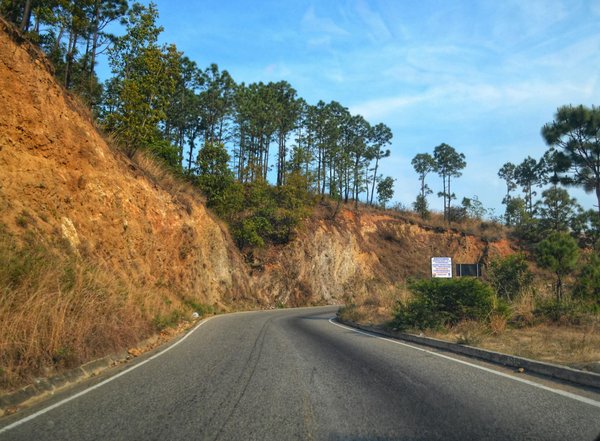 Délai de réception de la carte grise : ce qu'il faut savoir